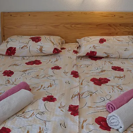 Apartmaji Jost Bohinj Exterior photo